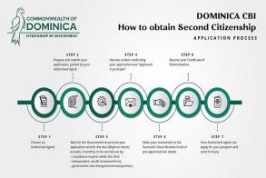 Dominica Citizenship By Investment: An Applicant’s Milestones